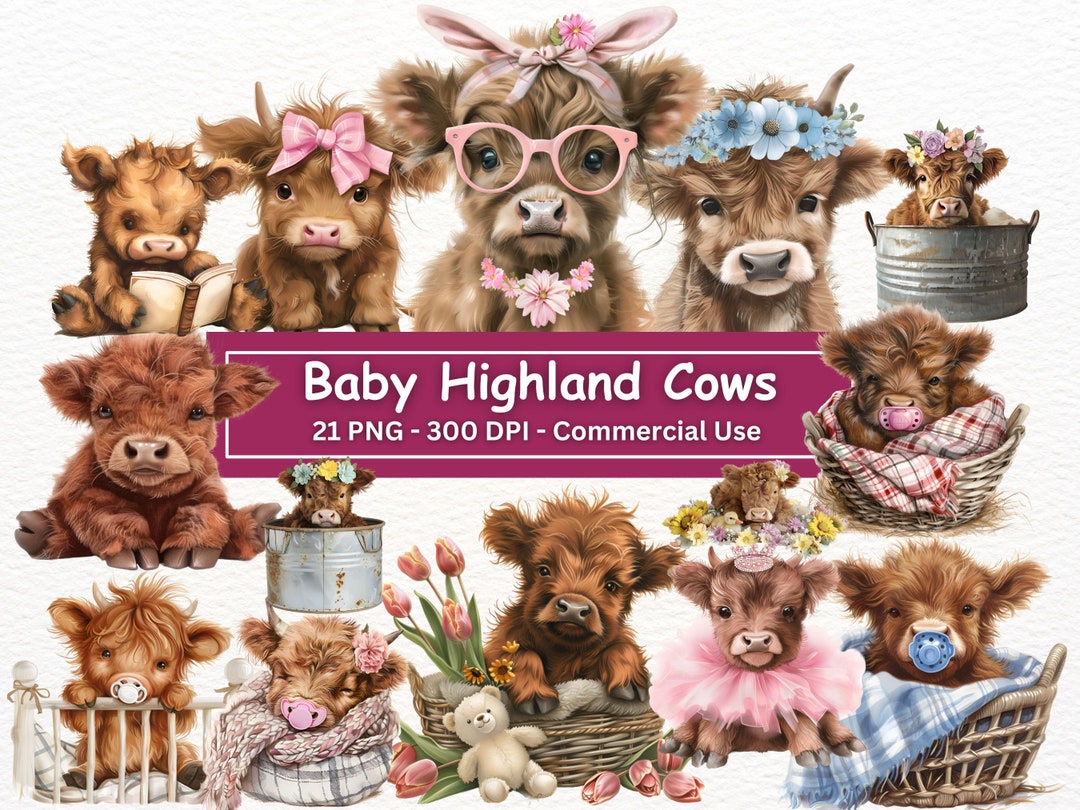 Baby Highland Cow Clipart: Nursery Art PNG Bundle (digital Download) - Etsy