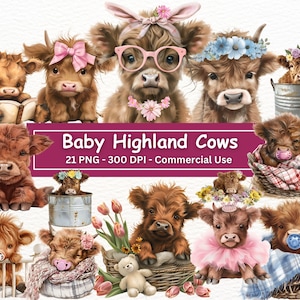Baby Highland Cows clipart, 21 PNGs plus bonus, kinderkamer kunst, baby shower, digitale planner, kaart maken, journaling, commercieel gebruik