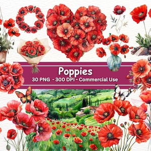 Bundle de cliparts pavot aquarelle, 30 images PNG, coquelicots rouges, jardin floral numérique, journal indésirable, scrapbooking, plante fleur PNG