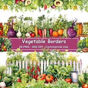 Aquarel groenterandenbundel, set van 0f 34 PNG's, planten, moestuin, scrapbooking grenselementen, sla, digitaal papier ambacht