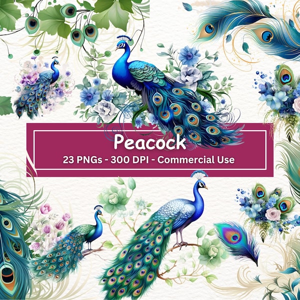 Watercolor Peacock Clipart Bundle, 23 PNG Set, Nursery Art, Digital Download, Card Making, Bird Clip Art,Digital Paper Craft, Commercial Use