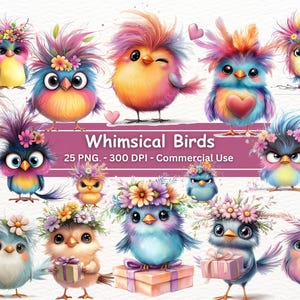 Pacote de clipart de pássaros coloridos peculiares, conjunto de 25 PNG, fundo transparente, ilustrações engraçadas de pássaros bobos, cabelo bagunçado, criação de cartões, sublimação