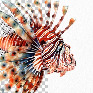 Clipart med havsdjur: 76 havsdjur i PNG (digital nedladdning) bild 3