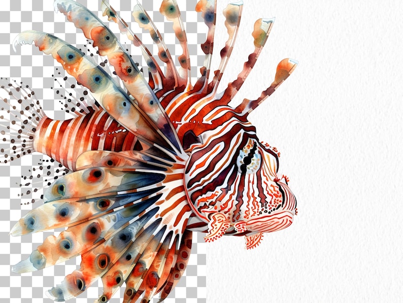 Clipart med havsdjur: 76 havsdjur i PNG (digital nedladdning) bild 3