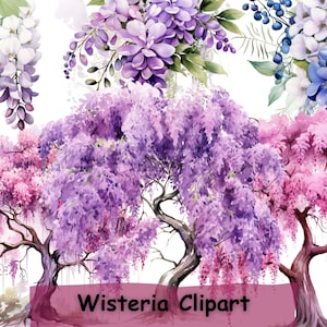 Wisteria Clipart, 16 PNG Bundle, Botanical Clip Art, Digital Download, Card Making, Journaling, Digital Paper Craft, Commercial Use