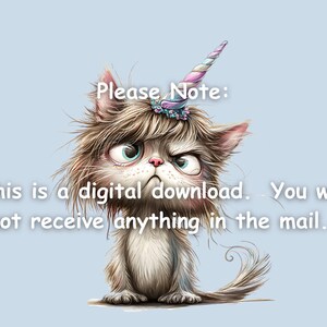 Roliga katter clipart-paket: 35 udda PNG-illustrationer (digital nedladdning) bild 5