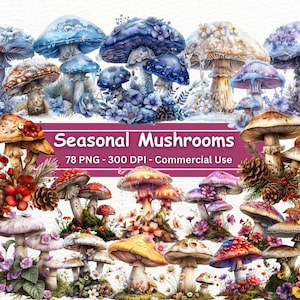 Bundle de cliparts fantastiques champignons de saison, ensemble de 78 PNG, champignons vénéneux, champignons enchantés, fleurs d'été, flocons de neige d'hiver, feuilles d'automne, printemps