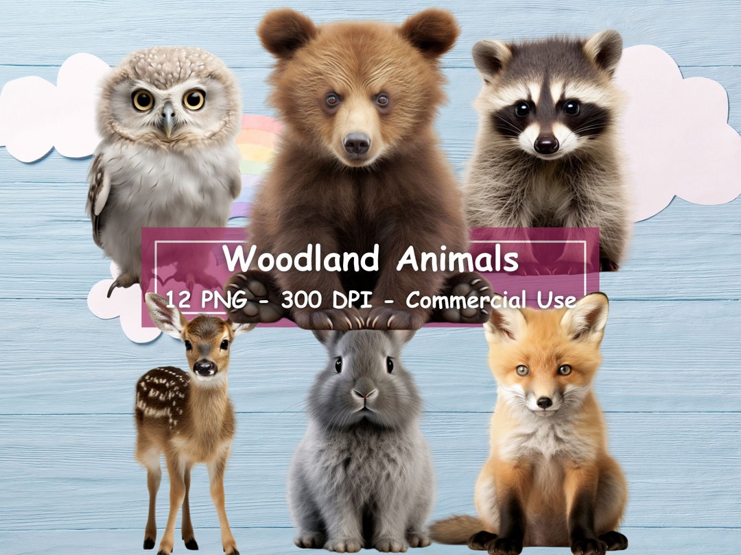 Printable Woodland Animal Nursery Prints, Set of 12 Pngs, Baby Forest ...