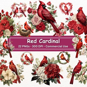 Clipart de cardeal vermelho, 22 PNGs, arte de berçário, download digital, confecção de cartões, clipart de pássaro em aquarela, artesanato em papel digital, sublimação