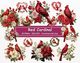 Red Cardinal Clipart, 22 PNGs, Nursery Art, Digital Download, Card Making, Watercolor Bird Clipart, Digital Paper Craft, Sublimation