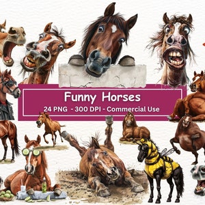 Paquete de imágenes prediseñadas de caballo divertido, conjunto de 24 PNG, fondo transparente, ilustraciones de caballos tontas y extravagantes, creación de tarjetas, sublimación, artesanía de papel digital