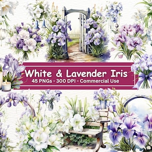 Aquarel wit en lavendel Iris clipart bundel, 45 PNG set, licht paarse lente bloemen illustraties, tuin bloemen, botanisch, kaart maken