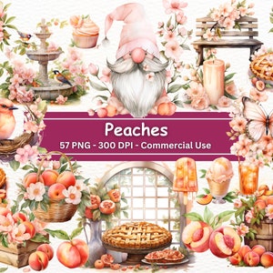 Aquarel perzik clipart bundel, PNG set van 57, perziken clipart, rustieke perzik taart, kabouter, cake, fruitmand, tuin, commercieel gebruik