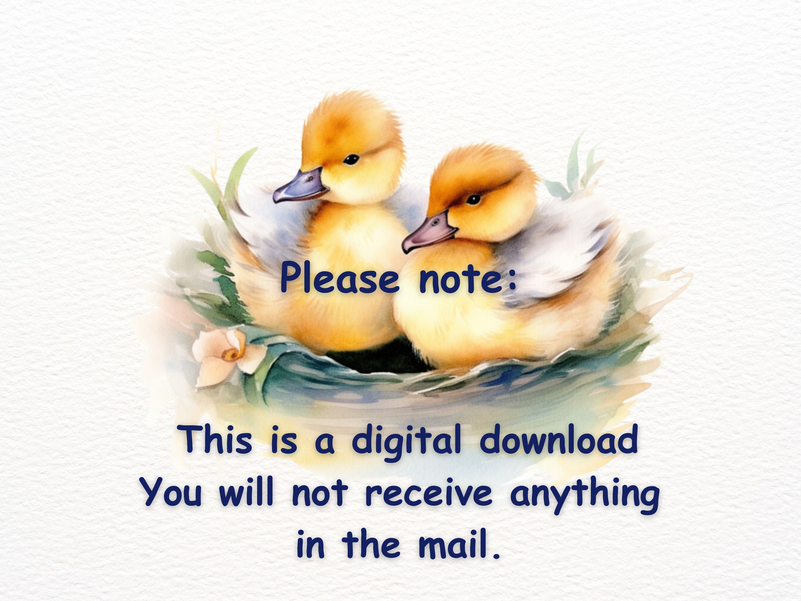 Watercolor Duckling Clipart: 13 PNG Images, Commercial Use (digital ...