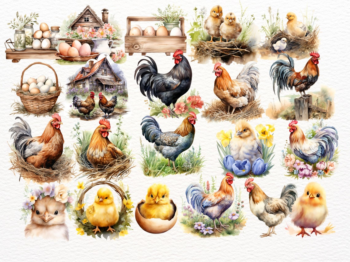 Rustic Chick Farm Chicken Clipart Bundle: Rustic Hen, Rooster & Chick PNG (digital ...