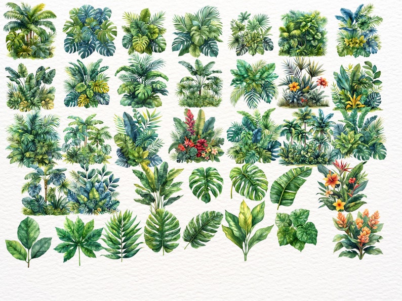Tropical Plant Clipart Bundle: 70 PNG Images for Scrapbooking (digital ...