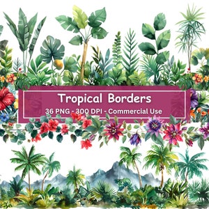 Aquarel tropische jungle planten en bloemen clipart grenzen bundel, set van 0f 36 PNGs, palmbomen, struiken, Monstera, scrapbooking elementen