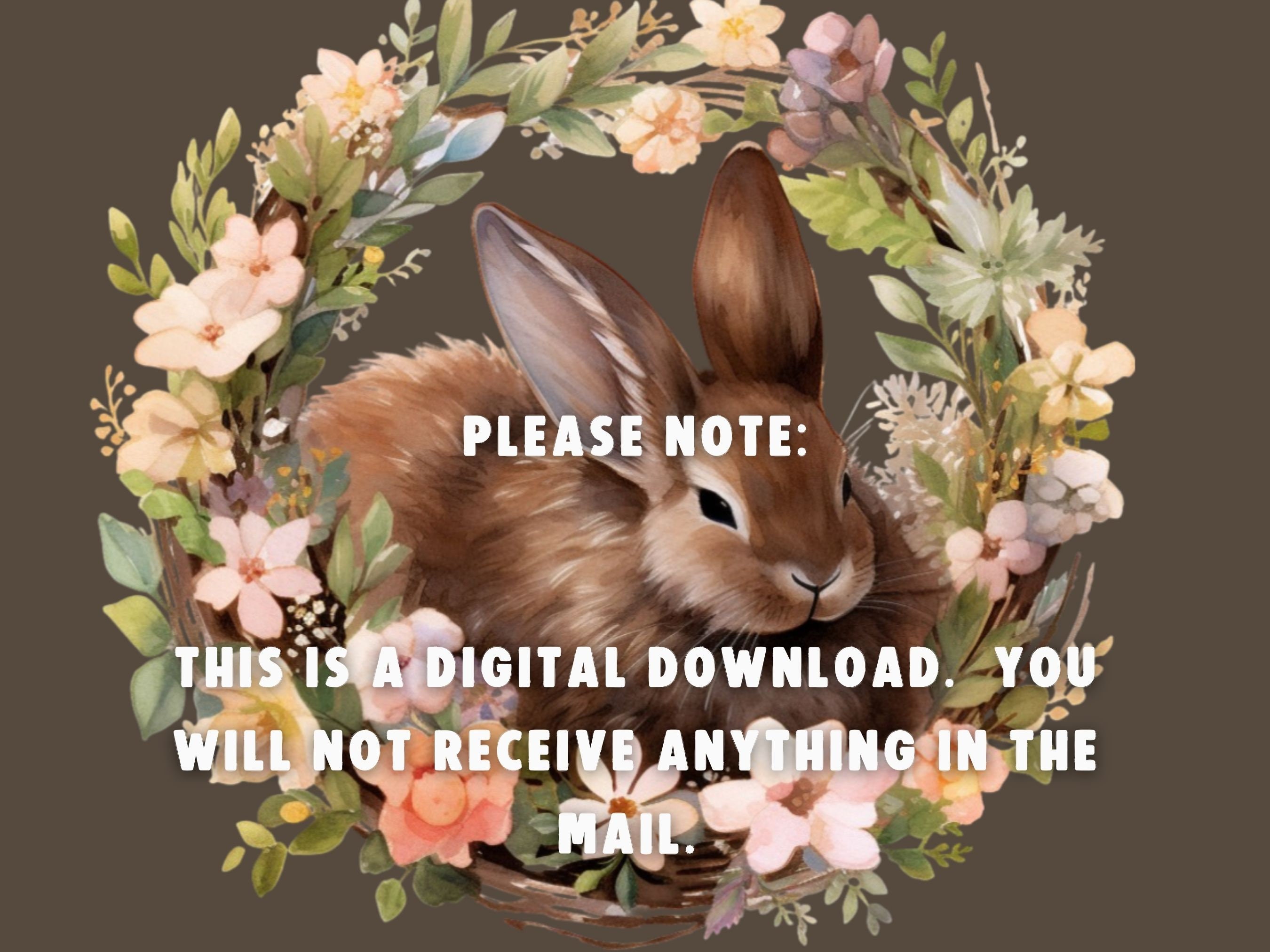 Watercolor Floral Bunnies Clipart: Spring PNG Bundle (digital Download ...