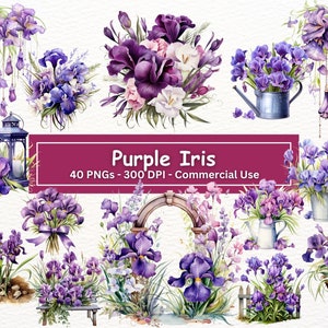 Aquarel paarse Iris clipart bundel, 40 PNG set, lente bloemen illustraties, tuin bloemen, botanische, kaart maken, digitale papier ambachtelijke