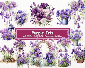 Watercolor Purple Iris Clipart Bundle: Spring Floral PNG Set (Digital Download)