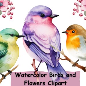 Watercolor Birds With Flowers Clipart, 10 PNGs, Birds for Digital Download and Commercial Use, Scrapbooking Supplies, Sublimation