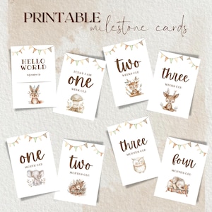 Cartes d'étape imprimables animaux bohèmes mignons, cartes mémoire de bébé, cadeau de baby shower, souvenir de bébé, téléchargement immédiat