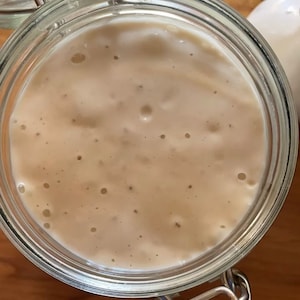 Over Century Old Organic Sourdough Starter Live Culture mothers day gift, valentines gift image 8