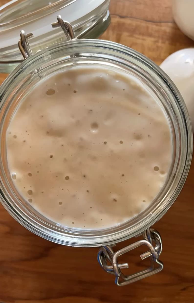 Over Century Old Organic Sourdough Starter Live Culture mothers day gift, valentines gift image 8
