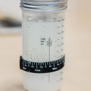 Over Century Old Organic Sourdough Starter Live Culture mothers day gift, valentines gift image 10