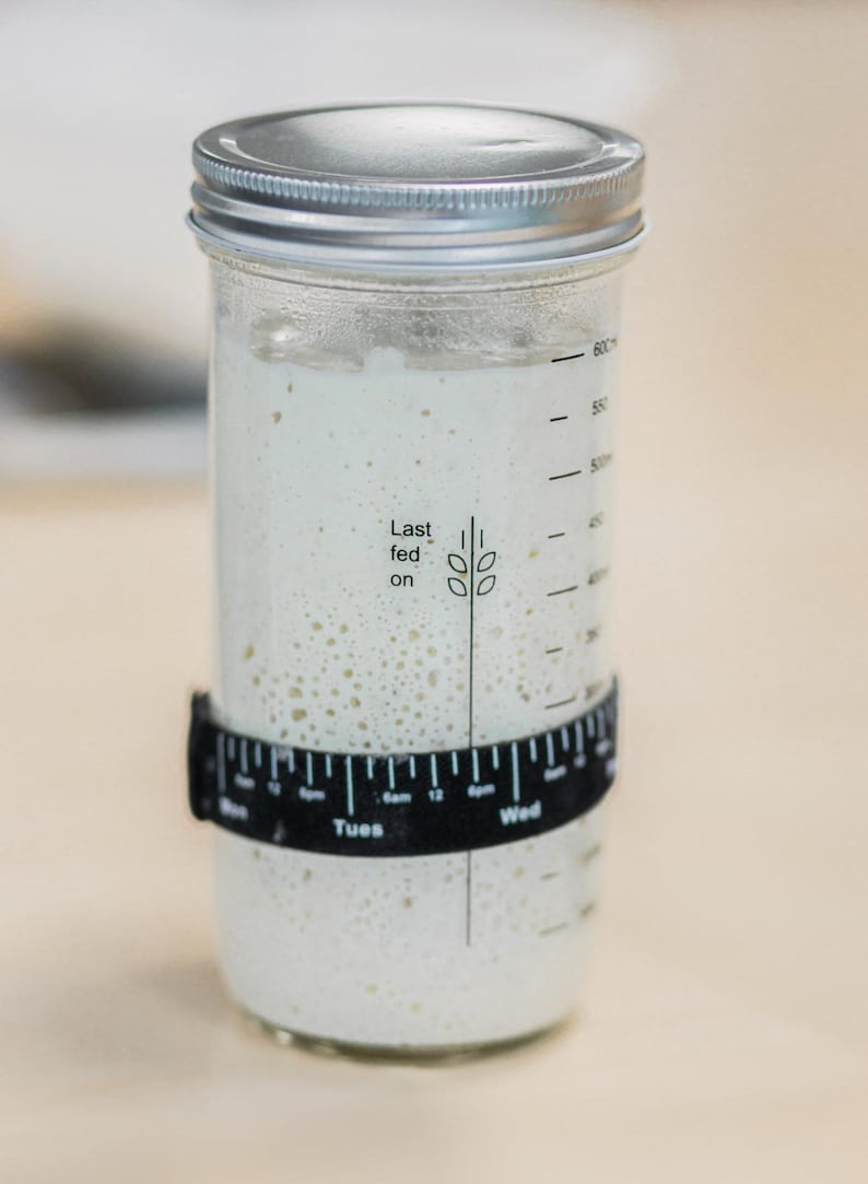 Over Century Old Organic Sourdough Starter Live Culture mothers day gift, valentines gift image 10