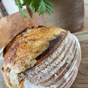 May include: A freshly baked loaf of sourdough bread with a crispy crust and a soft, airy interior. The bread has a golden brown color and is slightly charred on the edges.