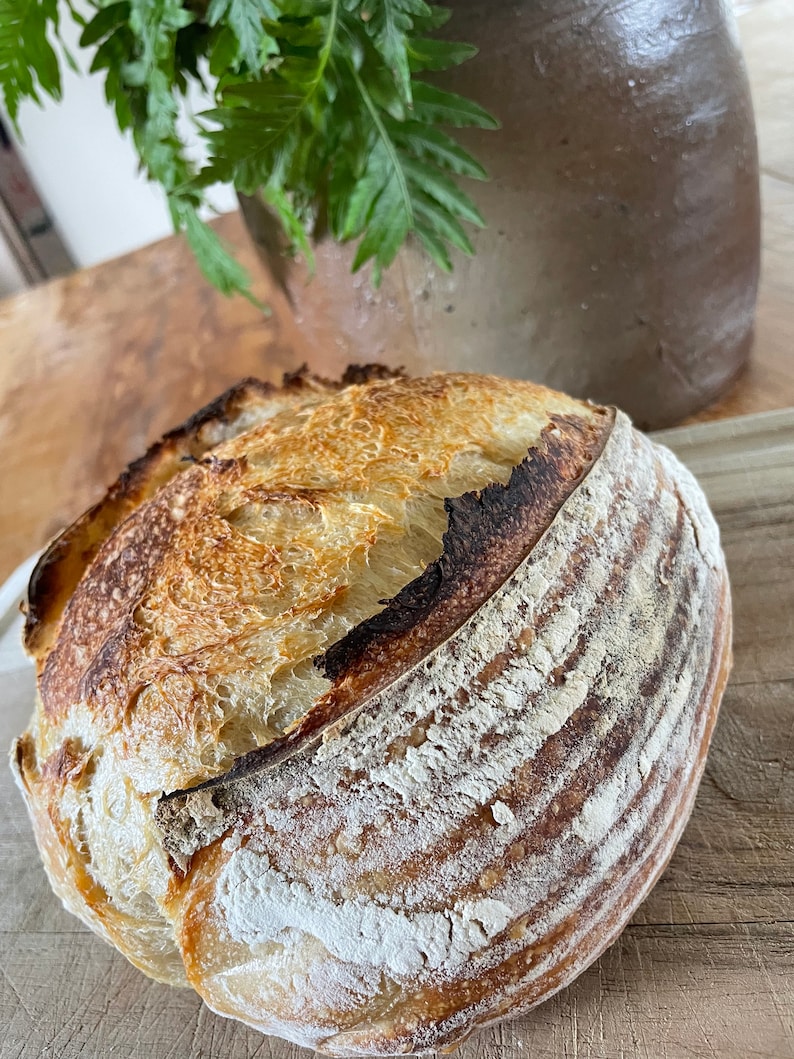May include: A freshly baked loaf of sourdough bread with a crispy crust and a soft, airy interior. The bread has a golden brown color and is slightly charred on the edges.