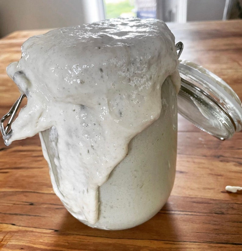May include: A glass jar filled with a white, bubbly sourdough starter. The starter has risen and overflowed from the jar, creating a thick, creamy layer on top.