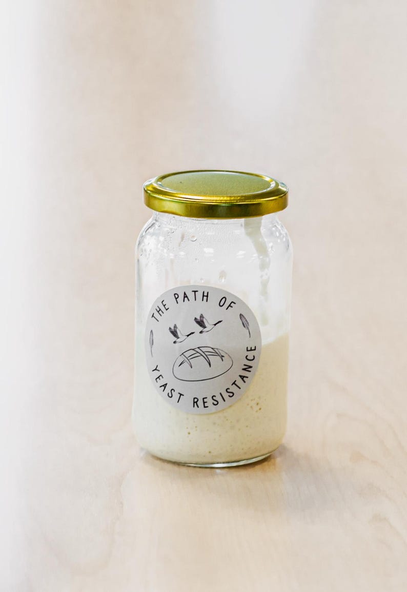 Over Century Old Organic Sourdough Starter Live Culture mothers day gift, valentines gift image 2