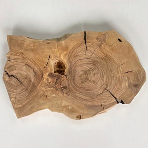 Live Edge Olive Wood Slab: Epoxy Resin Wood Slice (14&quot;x9&quot;x1.2&quot;)