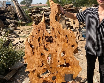 Turkish Olive Wood Slab, 60"x32"x1.6" Live Edge Wood Slab, Tree Slice, Burl Wood, Epoxy Resin Wood