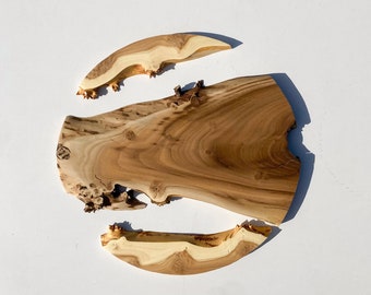 Russian Olive Live Edge Wood Slab, Metal Frame, DIY Art