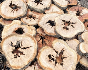 Round Olive Wood Slab: Live Edge Epoxy Resin Wood (14-20 inch)