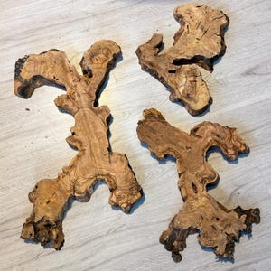 Turkish Olive Wood Slab: 30&quot;x24&quot; Live Edge Burl Wood