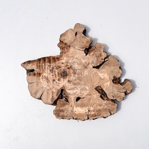 Olive Wood Slab for DIY Art, 27&quot;x23&quot;x2&quot; Epoxy Resin Wood, Raw Edge Wood, Live Edge Wood Slab, Tree Slice