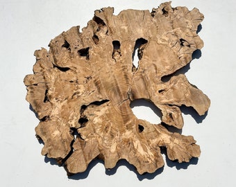 Raw Edge Olive Wood Slab: Epoxy Resin Accent (36"x32"x1.6")