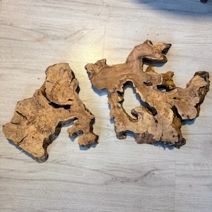 Turkish Olive Wood Slab: Live Edge Burl Wood (31.5&quot;x18&quot;x1.6)