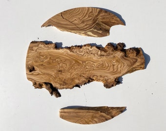 Russian Olive Wood Slab, Metal Frame, Live Edge, DIY Art