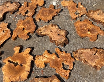 May include: A collection of 12 unique wood slices, each with a distinctive grain pattern and natural edge. The slices are various sizes and shapes, ranging from light to dark brown in colour.