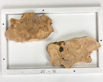 2 Olive Wood Slices: Live Edge Epoxy Resin DIY Art (20x12 Inches)