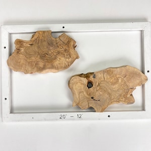 2 Olive Wood Slices: Live Edge Epoxy Resin DIY Art (20x12 Inches)