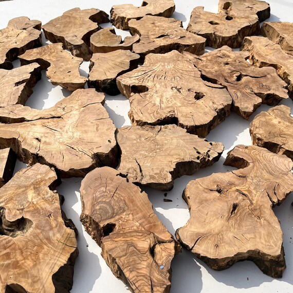 Olive Wood Slab: 2 Inch Live Edge Burl for Epoxy Table