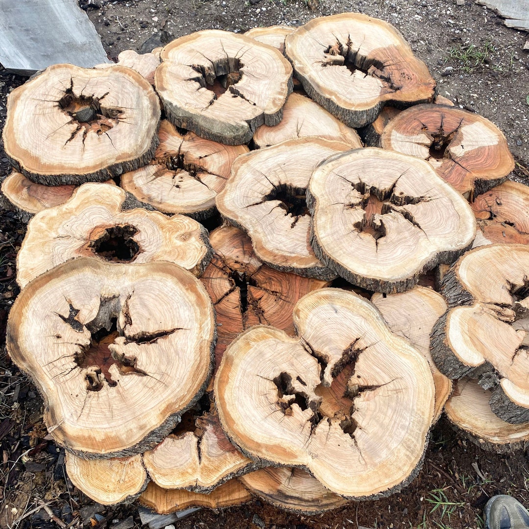 Round Olive Wood for Epoxy, 14 to 20 Live Edge Wood Slab, Epoxy Resin