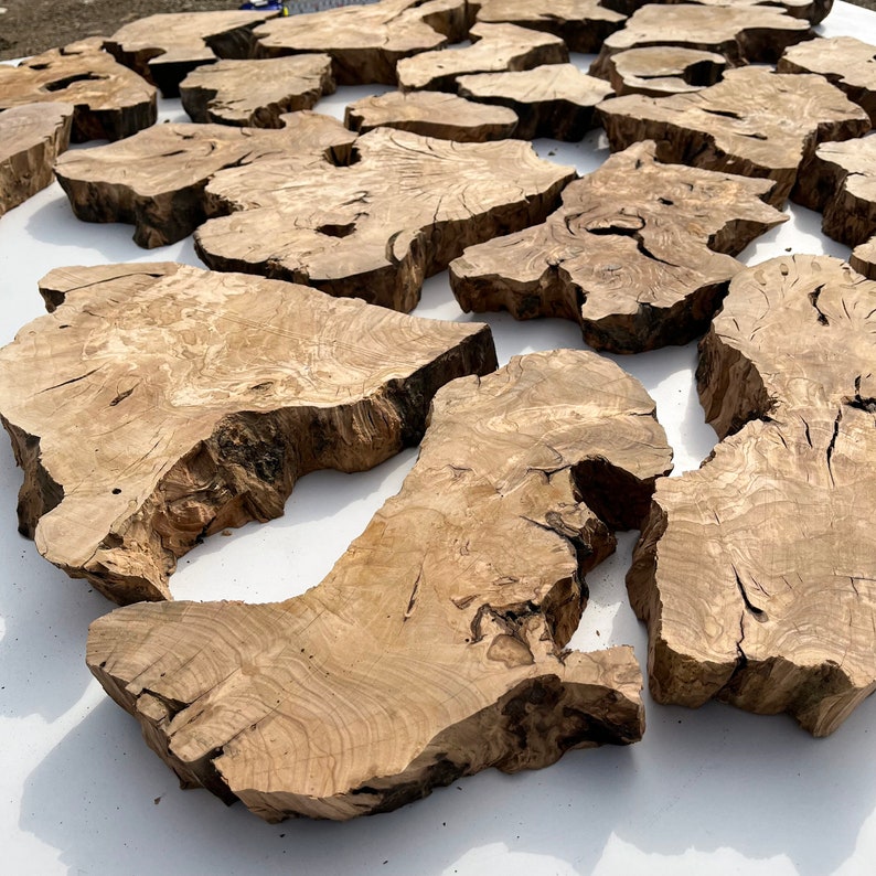 May include: A collection of natural wood slices, each with unique grain patterns and textures. The slices are various sizes and shapes, with some having a rough, bark-like edge. The wood is a light brown color with darker brown streaks.