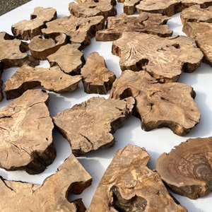 May include: A collection of natural wood slices, each with unique grain patterns and textures. The slices are various sizes and shapes, with a light brown color. They are arranged on a white surface.